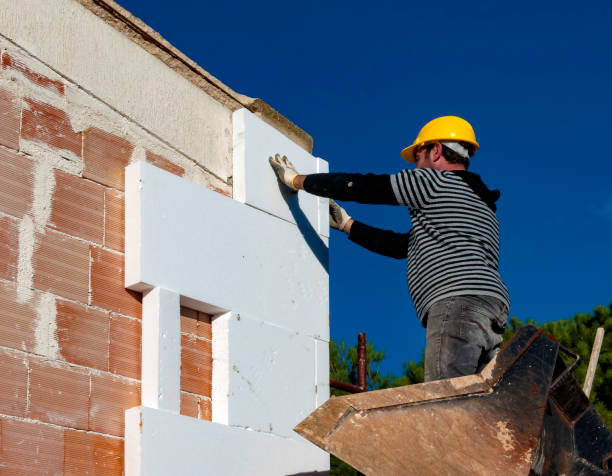 Best Professional Insulation Contractor  in Homestead, PA