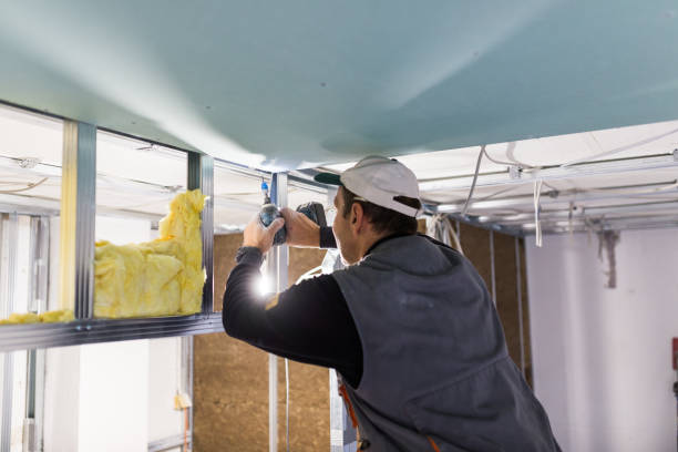 Best Insulation Contractor Near Me  in Homestead, PA