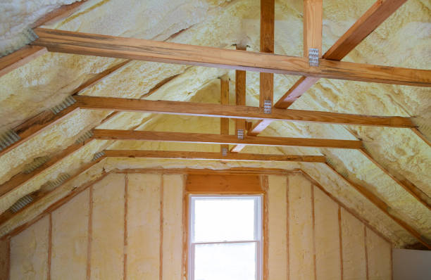 Best Home Insulation Services  in Homestead, PA