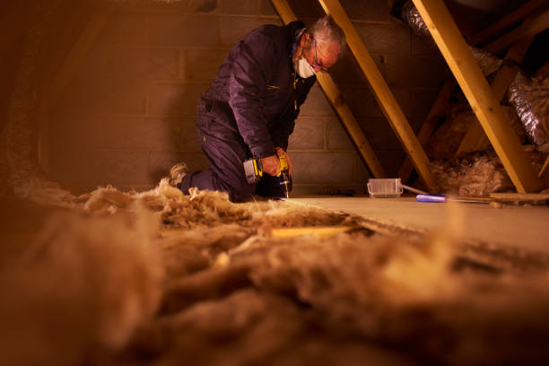 Best Cellulose Insulation  in Homestead, PA